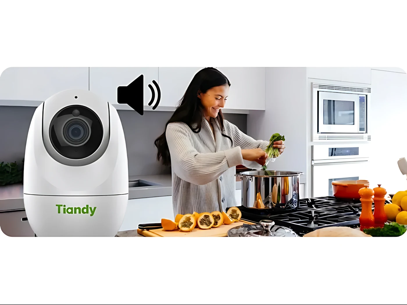 Tiandy 3mp Standalone Wifi