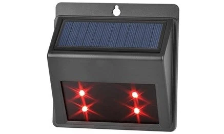 Lion Predator Light Solar