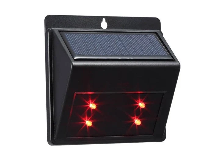 Lion Predator Light Solar